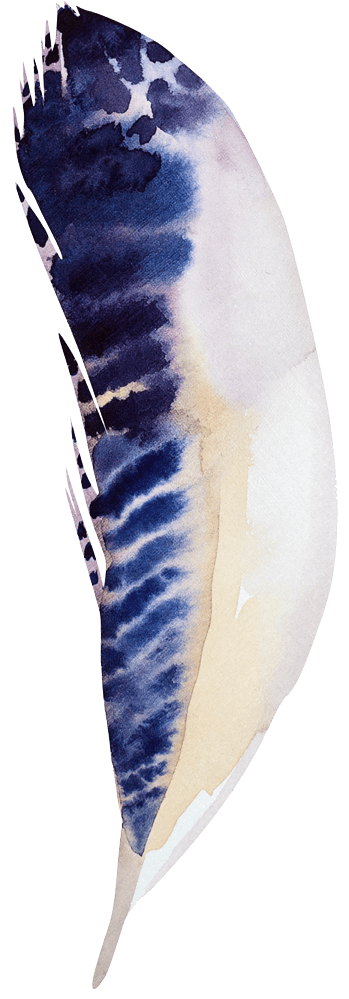 Falling feather 1